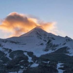 Meet your Posher, Diane